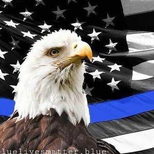 Meet your Posher, Terry